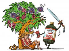 农药残留速测仪的应用促进农业绿色发展