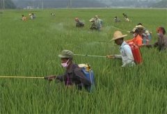 有机时蔬会不会有农药残留呢？